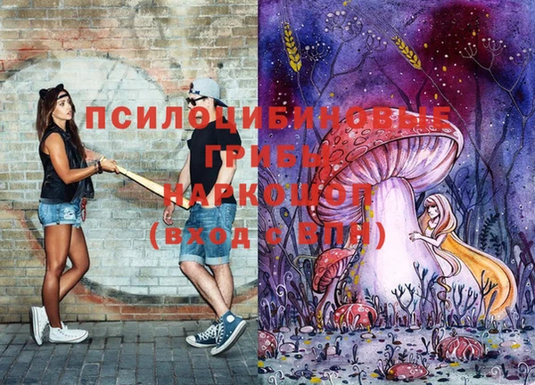 2c-b Краснотурьинск