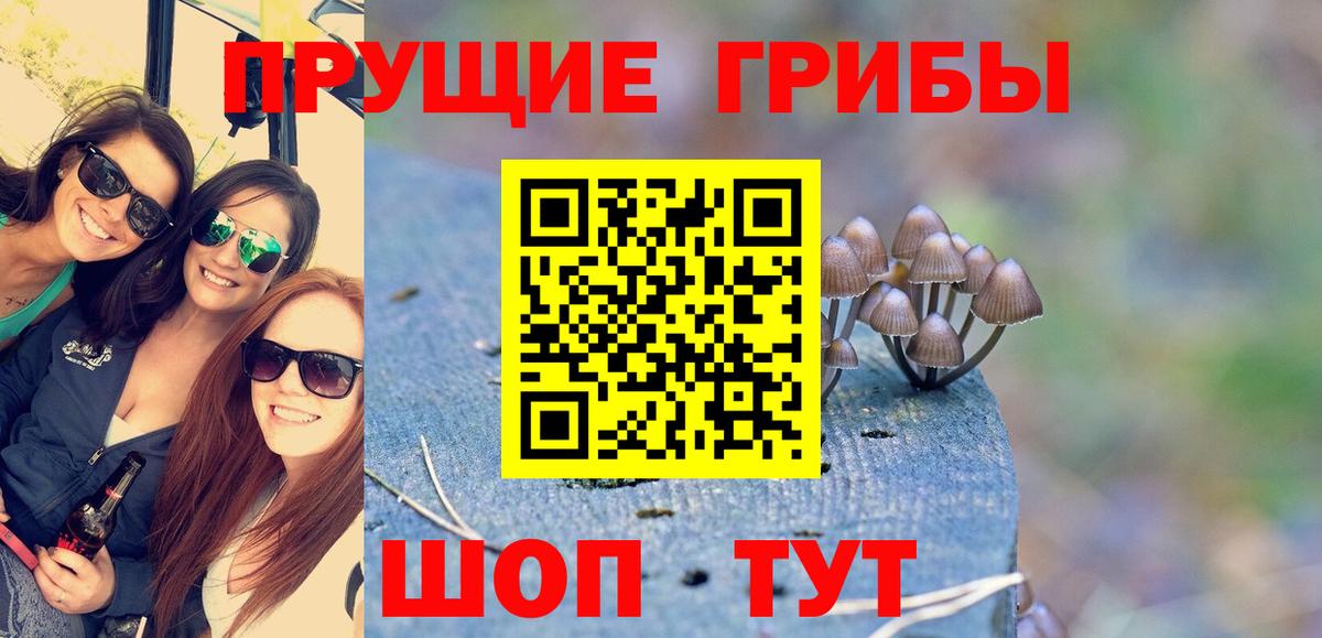 Псилоцибиновые грибы мухоморы  где можно купить   Чусовой  Вход с VPN 