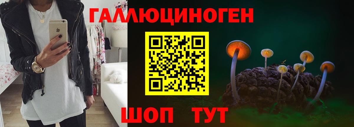 Псилоцибиновые грибы мицелий Чусовой